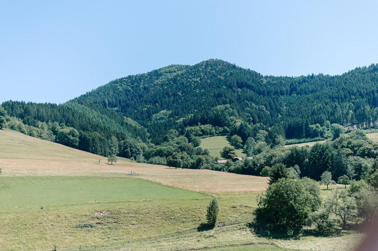 Moderne 2 Zi.-Fewo Blackforest Art Naehe Freiburg Зимонсвальд Экстерьер фото